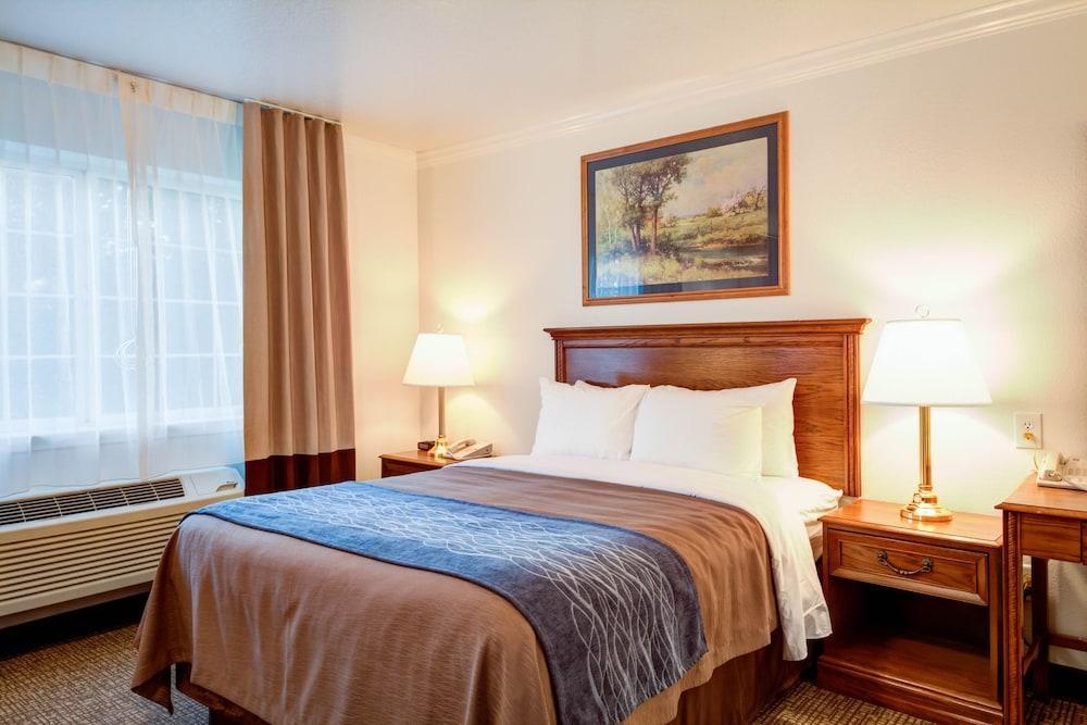 Best Western Paradise Hotel Luaran gambar