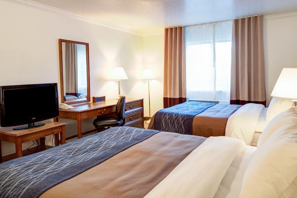 Best Western Paradise Hotel Luaran gambar